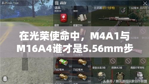 在光荣使命中，M4A1与M16A4谁才是5.56mm步枪之王？