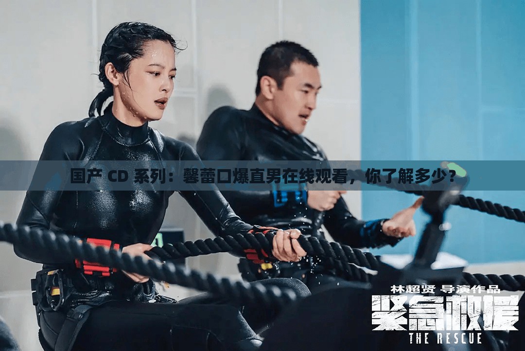 国产 CD 系列：馨蕾口爆直男在线观看，你了解多少？
