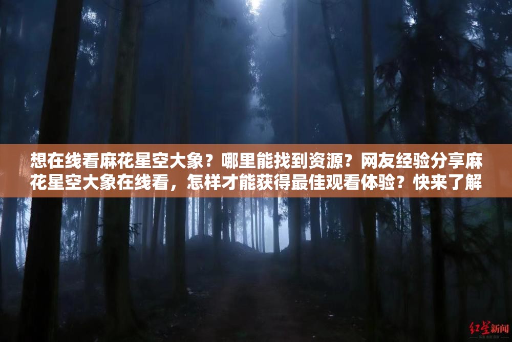 想在线看麻花星空大象？哪里能找到资源？网友经验分享麻花星空大象在线看，怎样才能获得最佳观看体验？快来了解麻花星空大象在线看，究竟有哪些精彩看点不容错过？速看