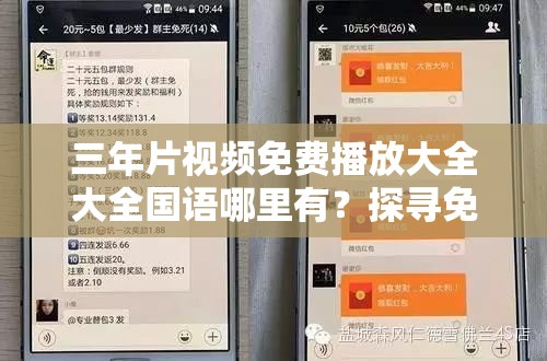 三年片视频免费播放大全大全国语哪里有？探寻免费观看资源的好去处