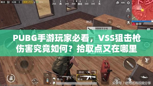 PUBG手游玩家必看，VSS狙击枪伤害究竟如何？拾取点又在哪里？
