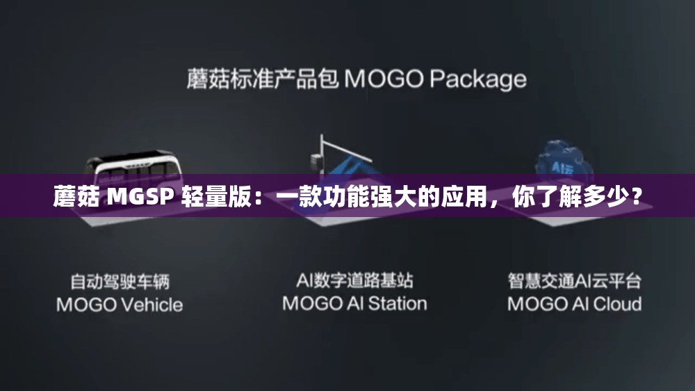 蘑菇 MGSP 轻量版：一款功能强大的应用，你了解多少？