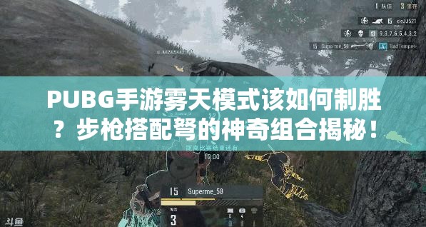 PUBG手游雾天模式该如何制胜？步枪搭配弩的神奇组合揭秘！