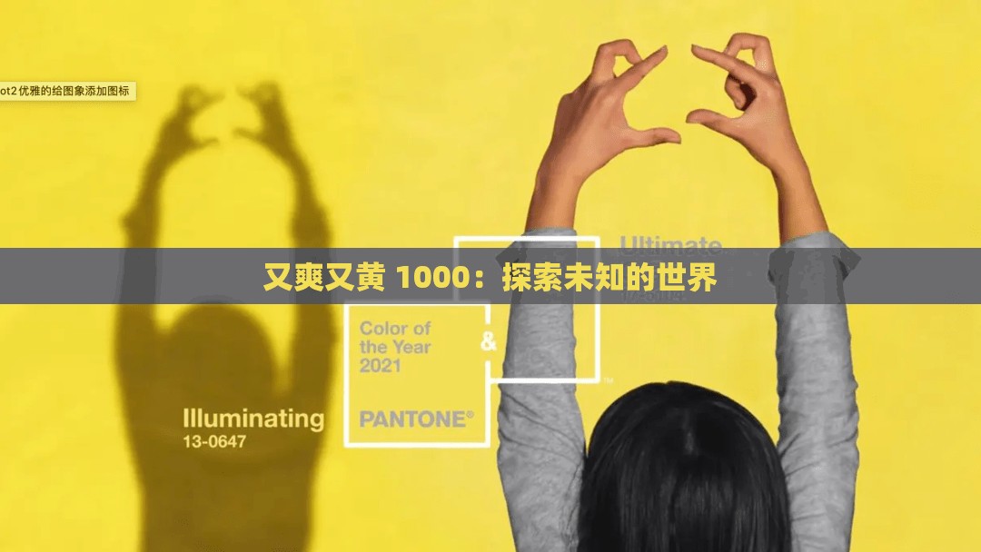 又爽又黄 1000：探索未知的世界