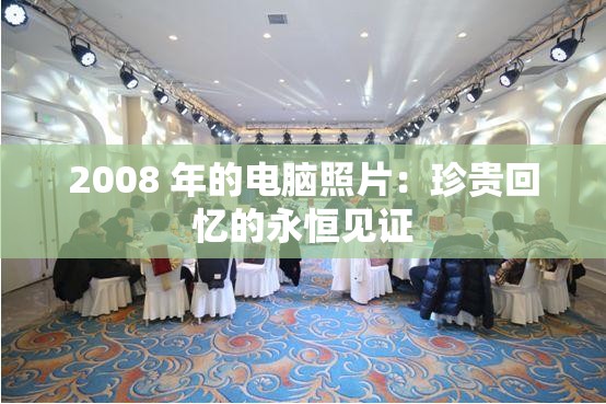 2008 年的电脑照片：珍贵回忆的永恒见证