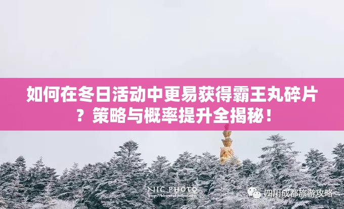 如何在冬日活动中更易获得霸王丸碎片？策略与概率提升全揭秘！