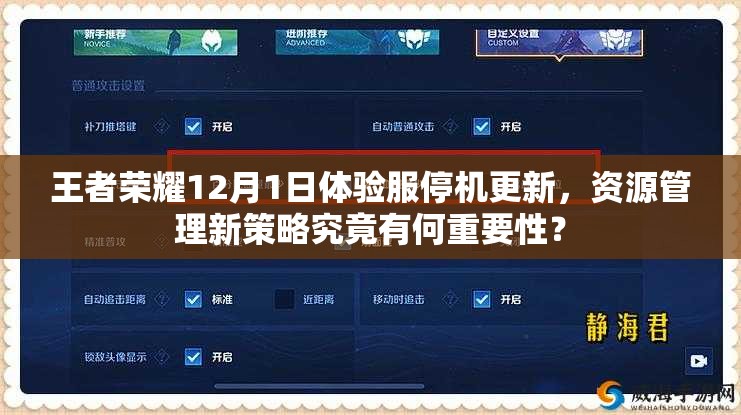 王者荣耀12月1日体验服停机更新，资源管理新策略究竟有何重要性？
