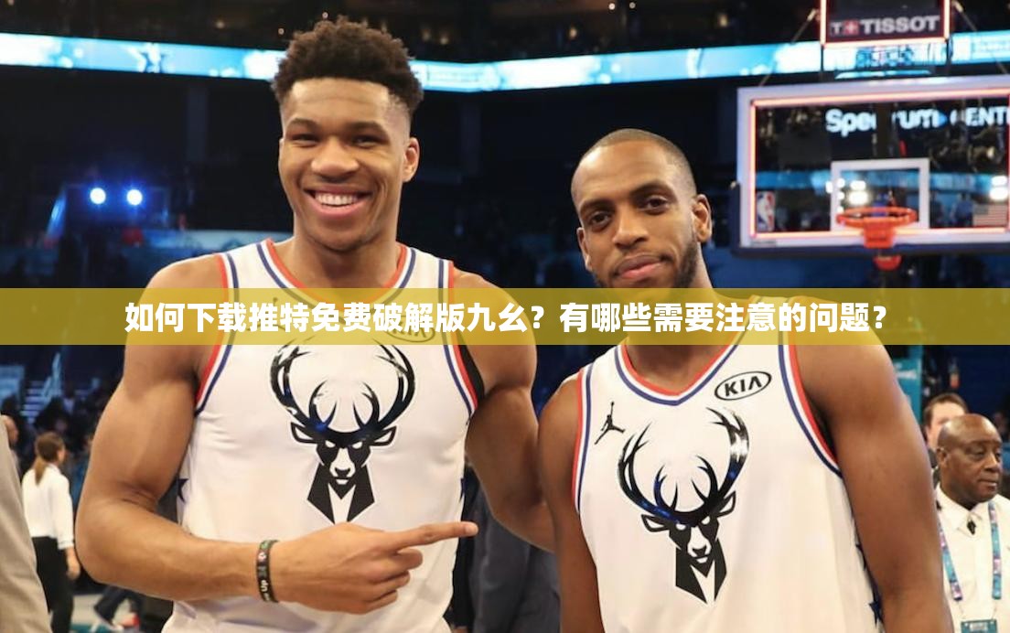 如何下载推特免费破解版九幺？有哪些需要注意的问题？