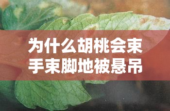 为什么胡桃会束手束脚地被悬吊起来呢？她是遭遇了什么危险吗？这张图片让人不禁浮想联翩