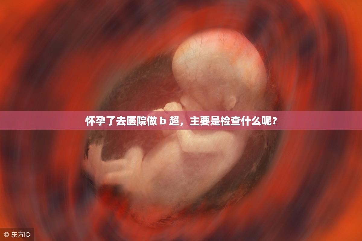 怀孕了去医院做 b 超，主要是检查什么呢？