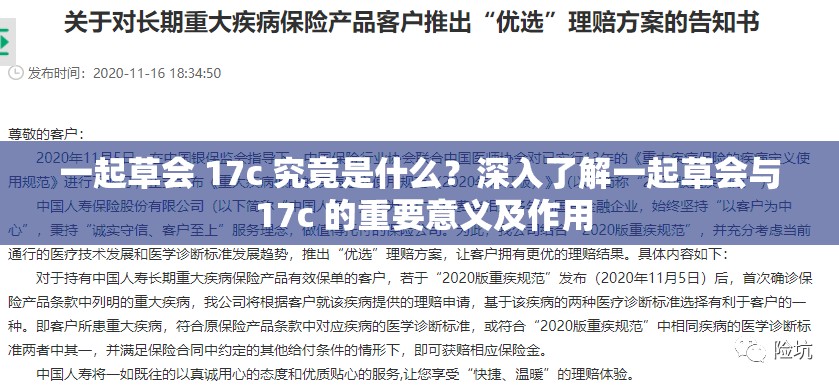 一起草会 17c 究竟是什么？深入了解一起草会与 17c 的重要意义及作用
