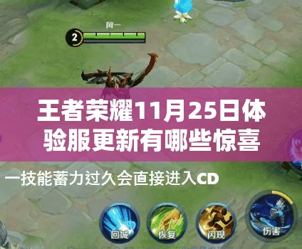 王者荣耀11月25日体验服更新有哪些惊喜？英雄重塑与机制优化悬念揭晓？