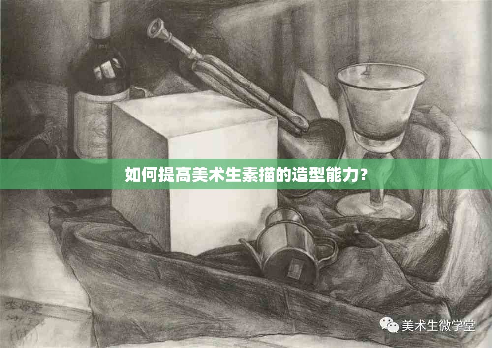 如何提高美术生素描的造型能力？