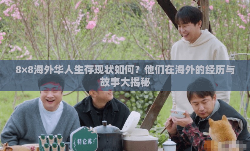 8×8海外华人生存现状如何？他们在海外的经历与故事大揭秘