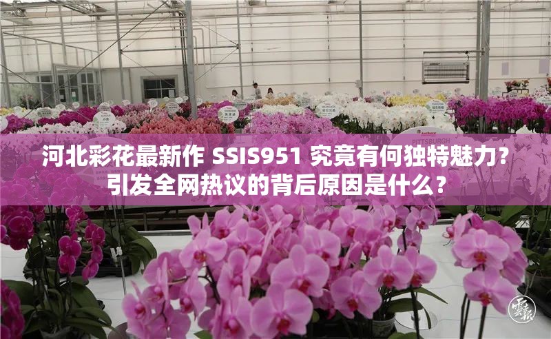 河北彩花最新作 SSIS951 究竟有何独特魅力？引发全网热议的背后原因是什么？