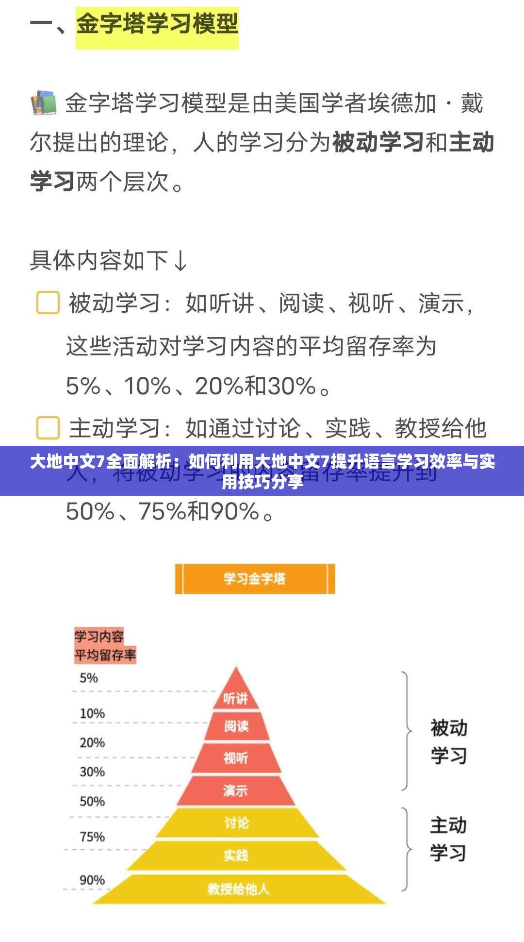 大地中文7全面解析：如何利用大地中文7提升语言学习效率与实用技巧分享