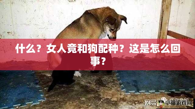 什么？女人竟和狗配种？这是怎么回事？