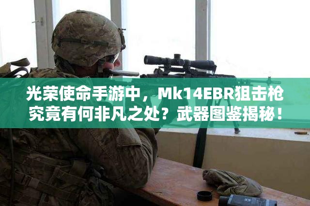 光荣使命手游中，Mk14EBR狙击枪究竟有何非凡之处？武器图鉴揭秘！