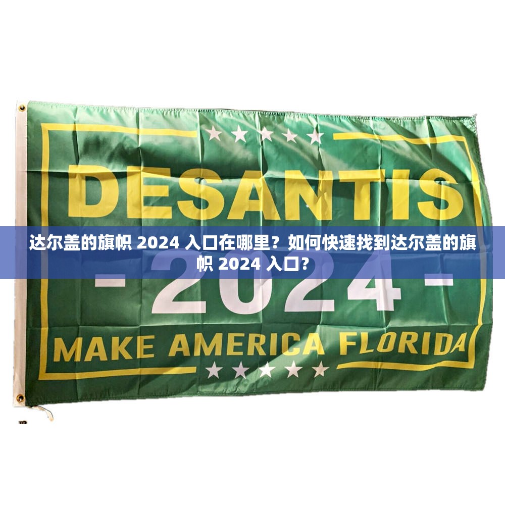 达尔盖的旗帜 2024 入口在哪里？如何快速找到达尔盖的旗帜 2024 入口？