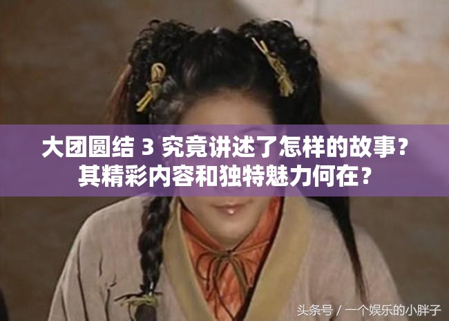 大团圆结 3 究竟讲述了怎样的故事？其精彩内容和独特魅力何在？