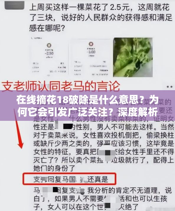 在线摘花18破除是什么意思？为何它会引发广泛关注？深度解析其内涵