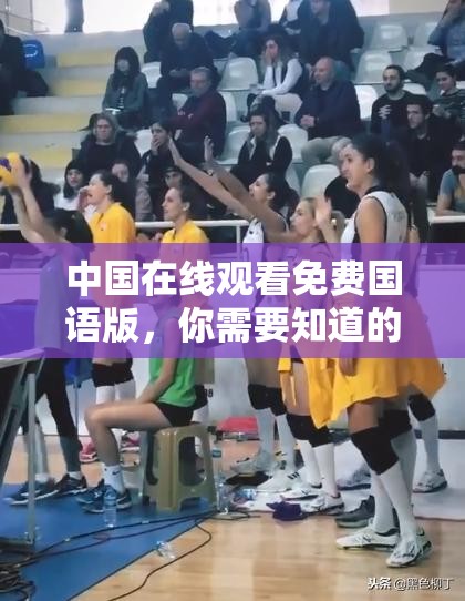 中国在线观看免费国语版，你需要知道的一切