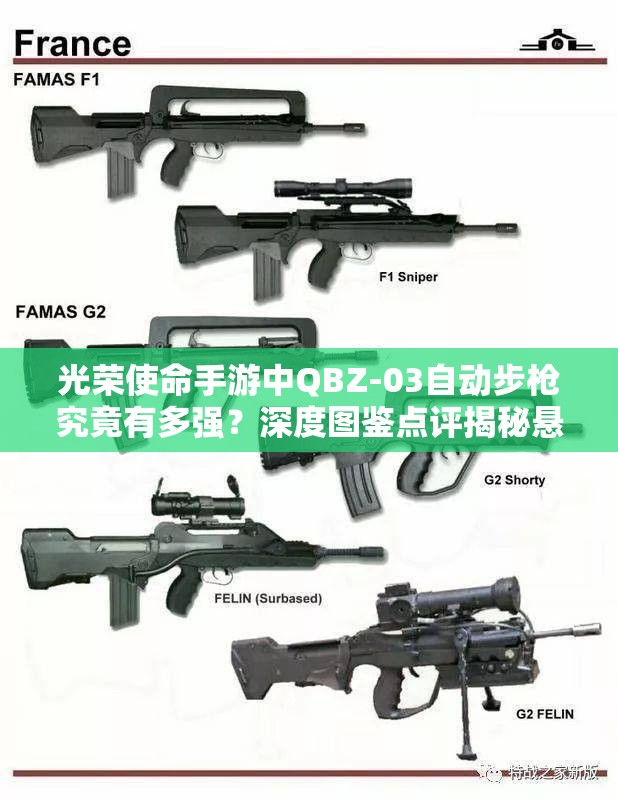 光荣使命手游中QBZ-03自动步枪究竟有多强？深度图鉴点评揭秘悬念！