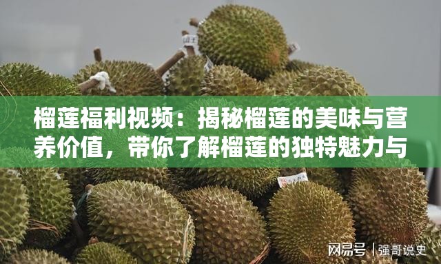 榴莲福利视频：揭秘榴莲的美味与营养价值，带你了解榴莲的独特魅力与健康益处