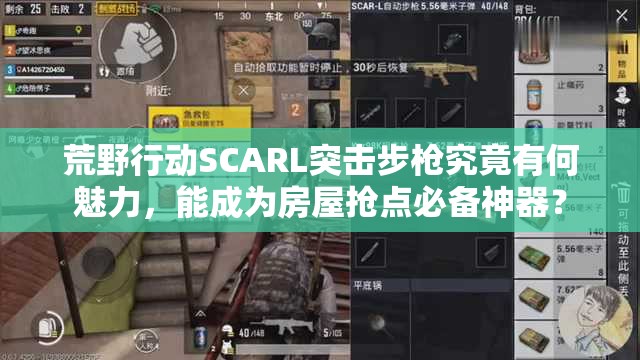 荒野行动SCARL突击步枪究竟有何魅力，能成为房屋抢点必备神器？