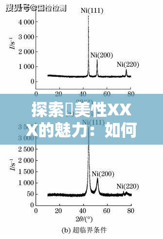 探索欭美性XXX的魅力：如何通过独特视角提升生活品质与审美体验？