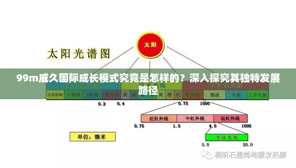 99m威久国际成长模式究竟是怎样的？深入探究其独特发展路径