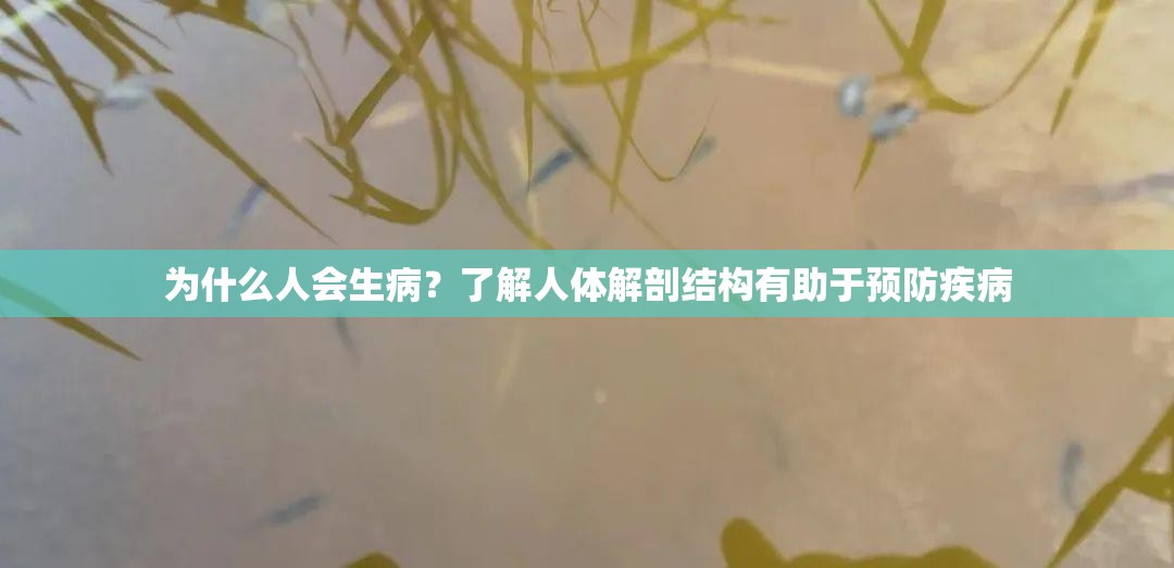 为什么人会生病？了解人体解剖结构有助于预防疾病