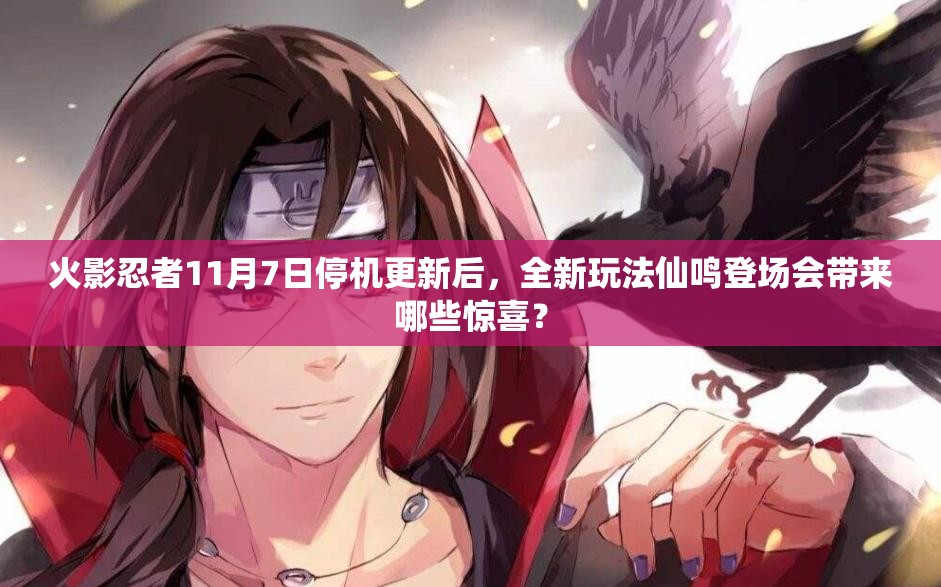 火影忍者11月7日停机更新后，全新玩法仙鸣登场会带来哪些惊喜？