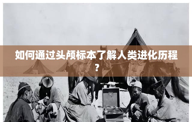 如何通过头颅标本了解人类进化历程？
