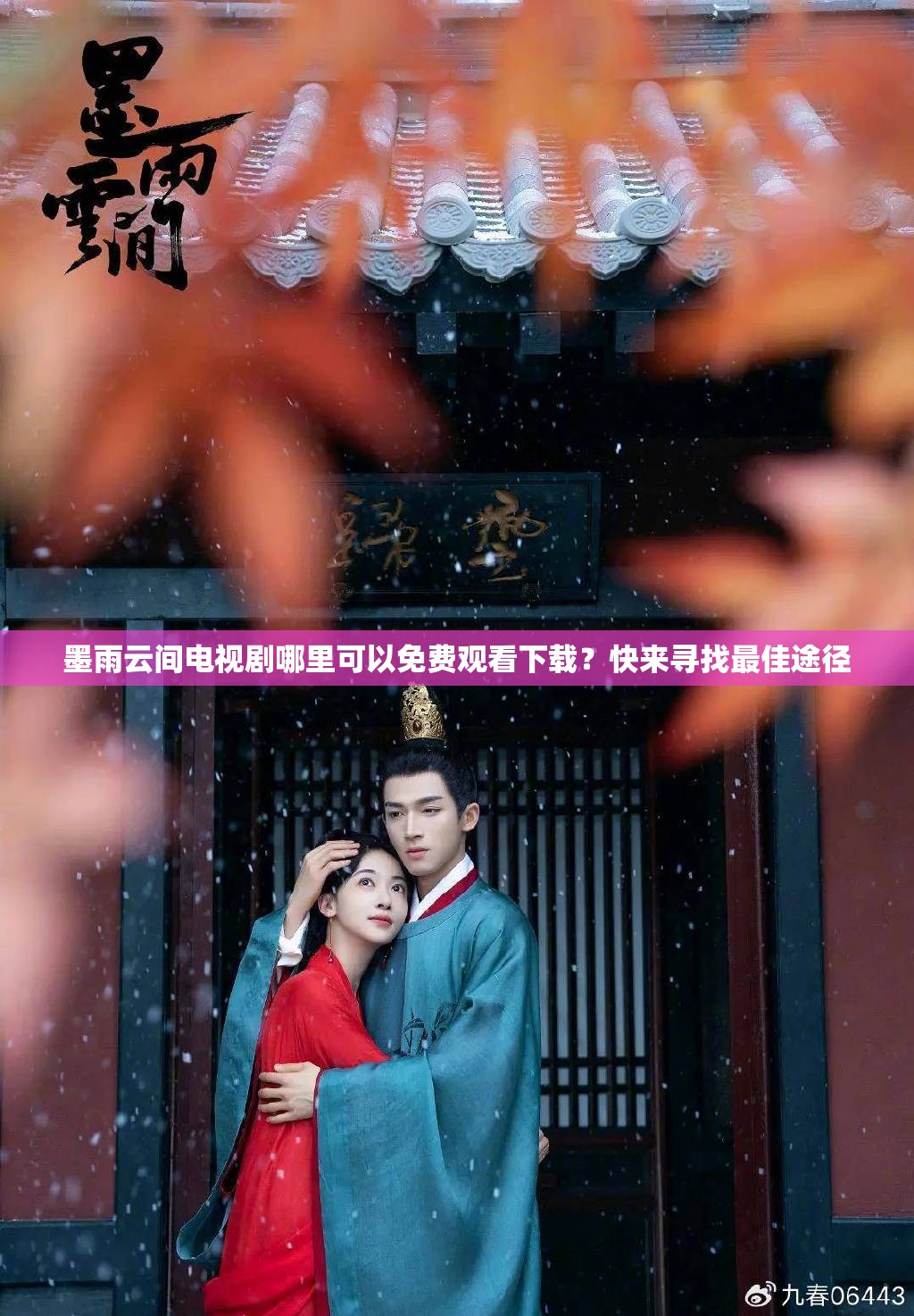 墨雨云间电视剧哪里可以免费观看下载？快来寻找最佳途径