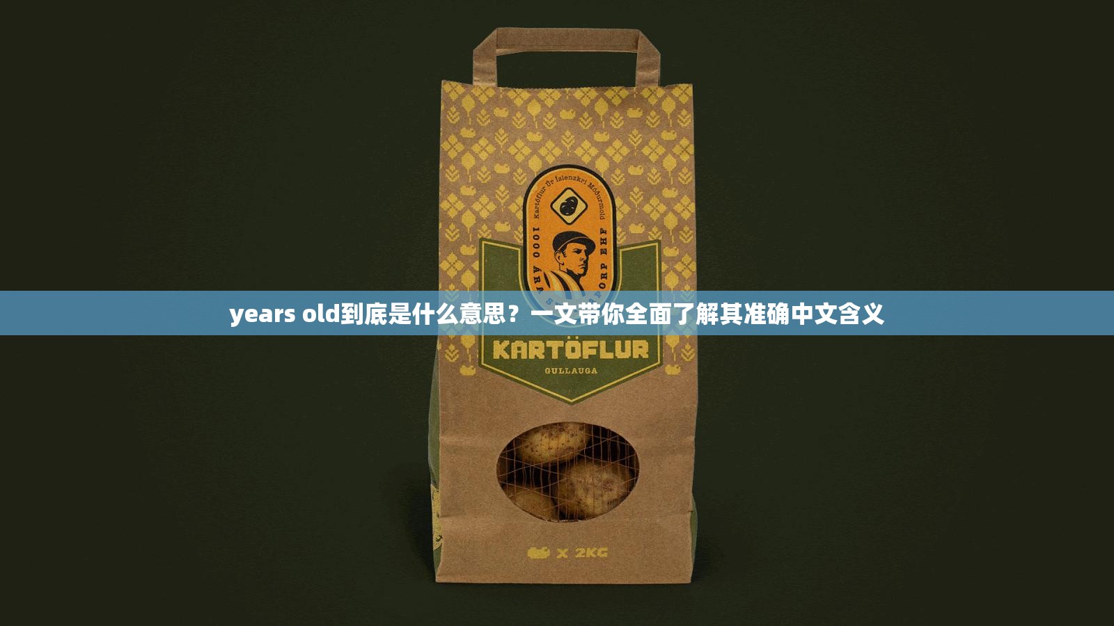 years old到底是什么意思？一文带你全面了解其准确中文含义