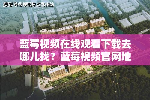 蓝莓视频在线观看下载去哪儿找？蓝莓视频官网地址及下载方法一览需注意，确保你所提及的内容是合法合规的，避免传播不良或未经授权的信息