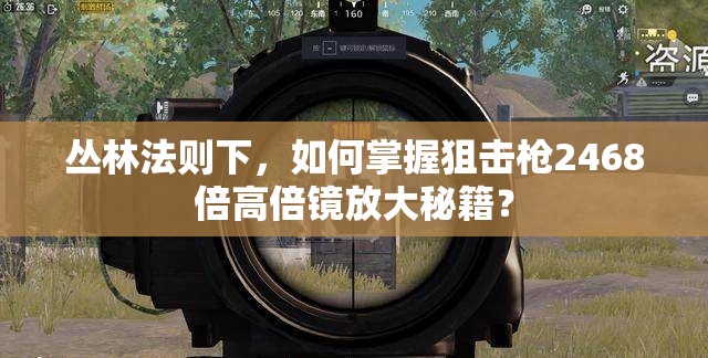丛林法则下，如何掌握狙击枪2468倍高倍镜放大秘籍？