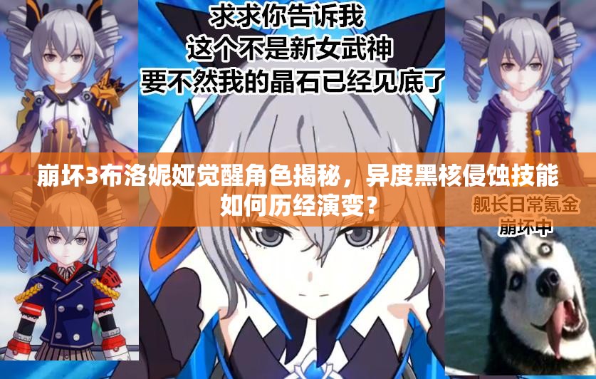 崩坏3布洛妮娅觉醒角色揭秘，异度黑核侵蚀技能如何历经演变？