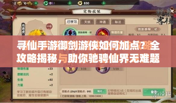 寻仙手游御剑游侠如何加点？全攻略揭秘，助你驰骋仙界无难题？