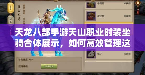 天龙八部手游天山职业时装坐骑合体展示，如何高效管理这些炫酷资源？